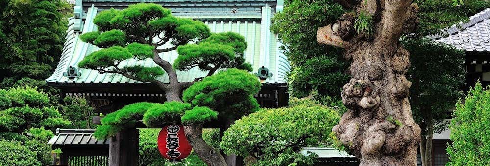 Excursiones de un día en Tokio