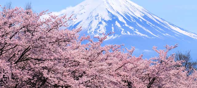 Escursione al Monte Fuji e il Lago Ashi