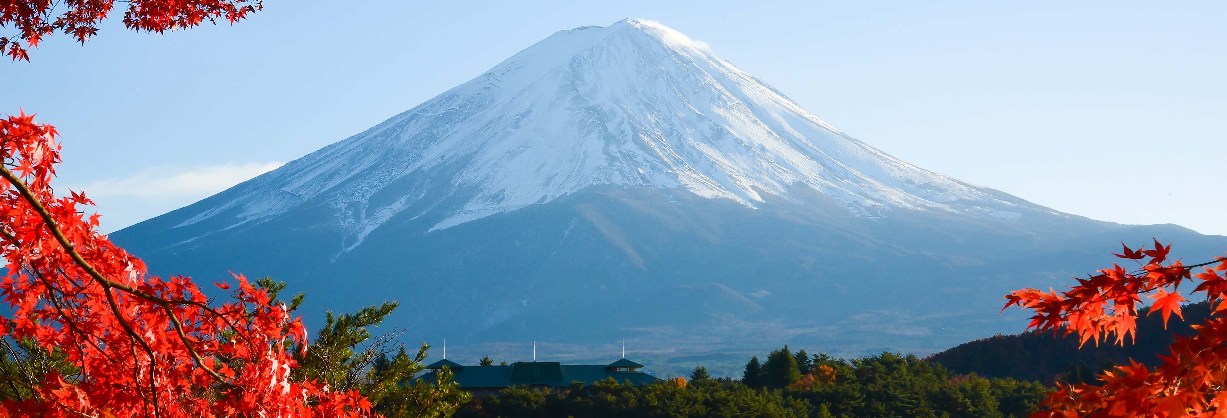 Excursiones de un día en Tokio
