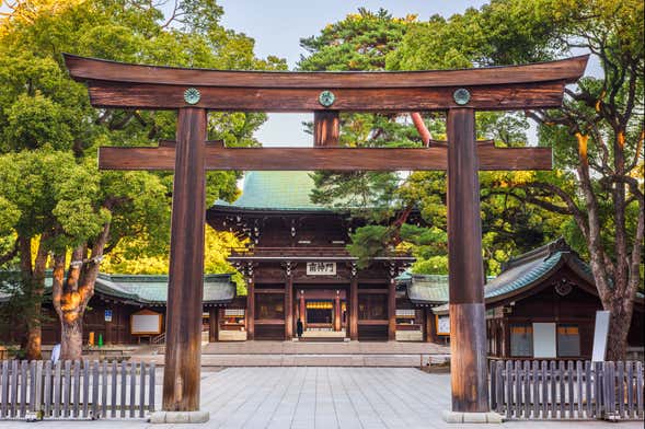 Free tour del Santuario Meiji e del Parco Yoyogi