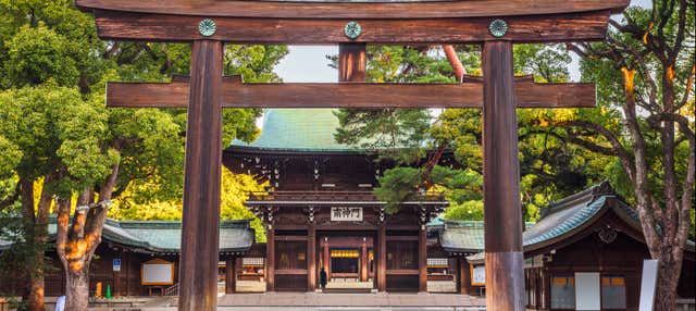 Free tour por el Santuario Meiji y el Parque Yoyogi