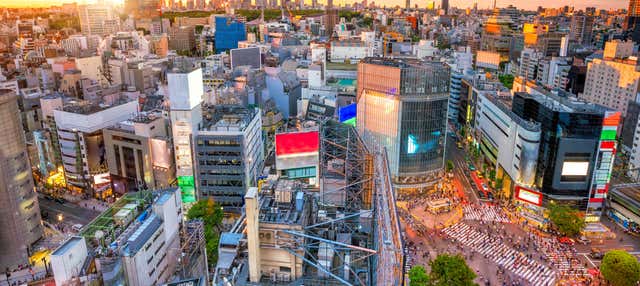 Free tour por Shibuya