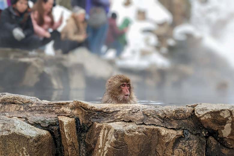 ¡Liberándose del estrés!