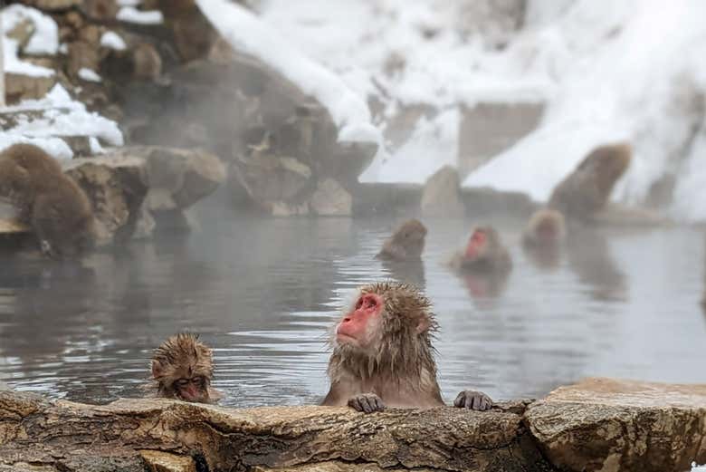 Relajación al máximo 