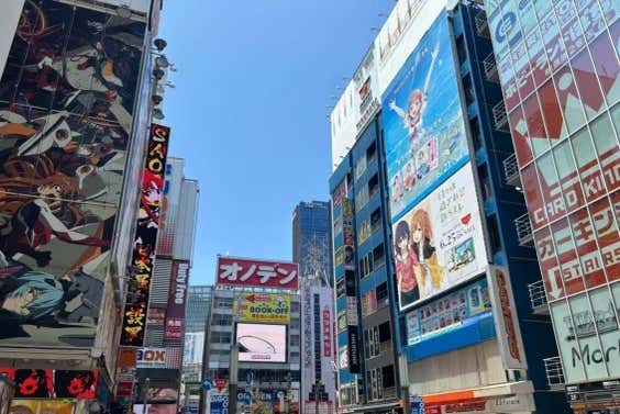Immerse yourself in the vibrant anime culture of Akihabara