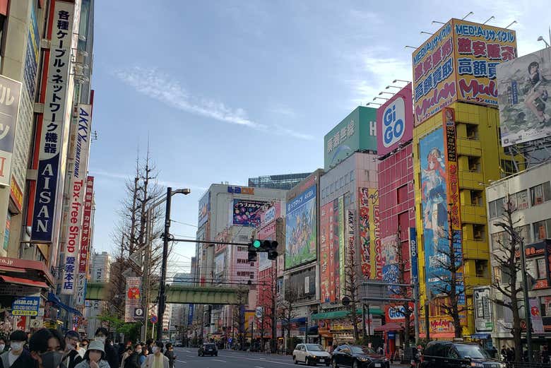 Pedaleando por Akihabara