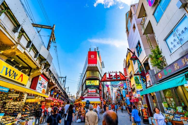 Dive into the buzzing energy of Ameyoko Shopping Street