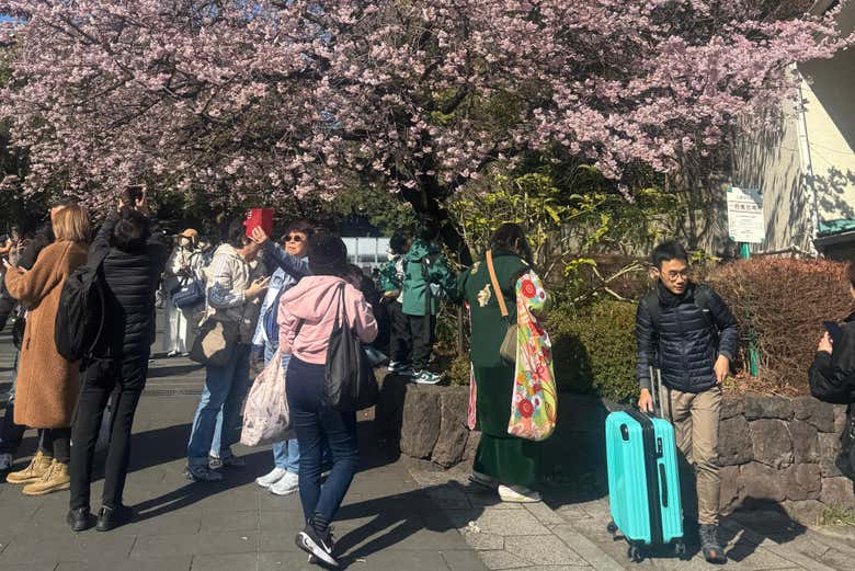 Recorriendo uno de los barrios más interesantes de Tokio
