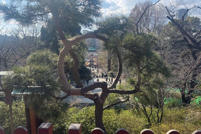 Uno de los rincones del parque Ueno