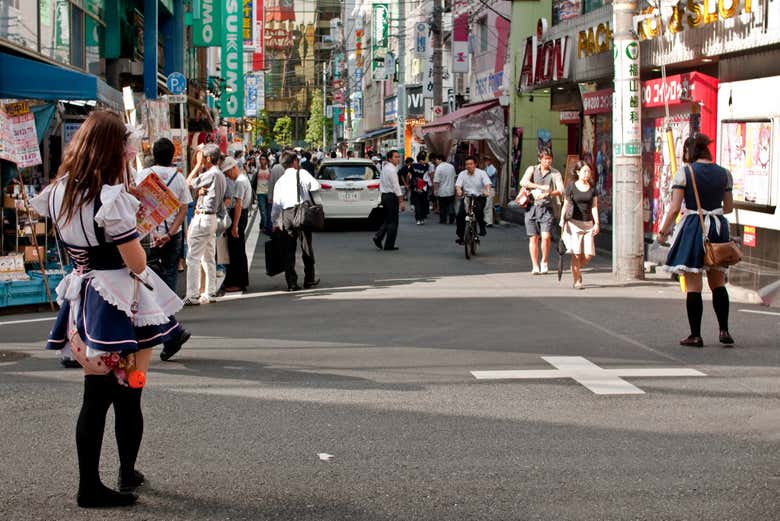 Disfrutando del tour por Akihabara