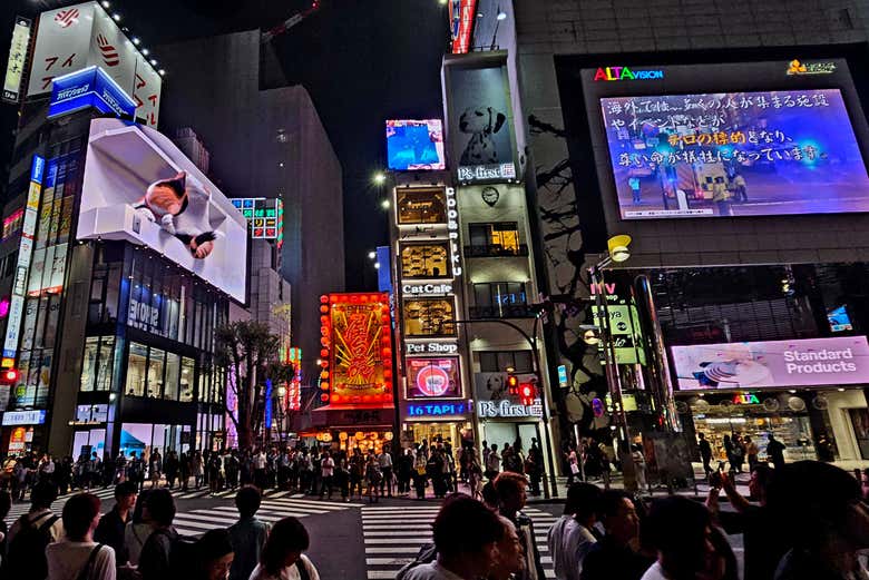 Les rues animées de Shinjuku