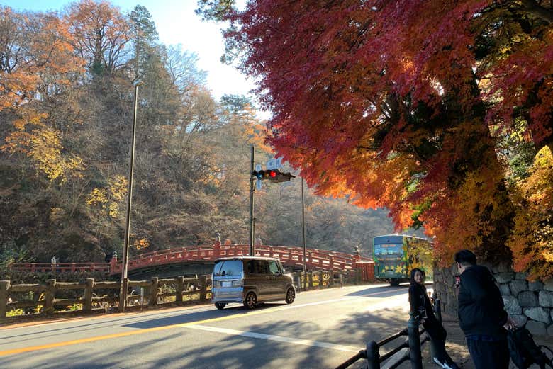 Uma experiência incrível nos aguarda