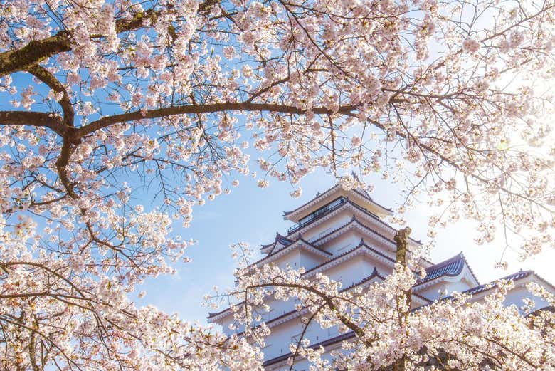 Castelo de Aizuwakamatsu