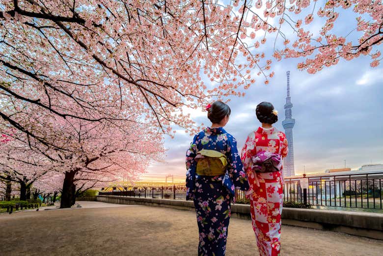 Promenade le long de la rivière Sumida