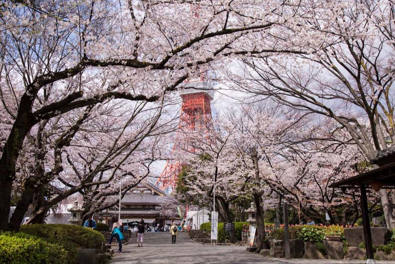 Un'esperienza unica a Tokyo
