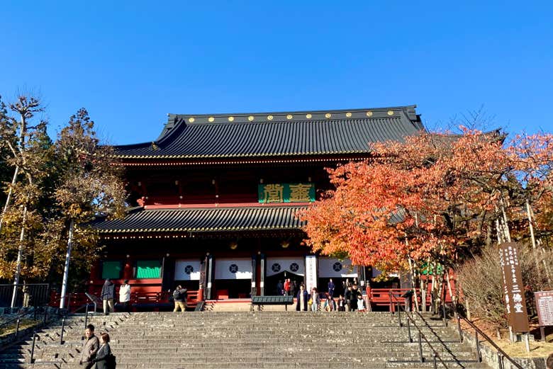 Emoção a cada degrau