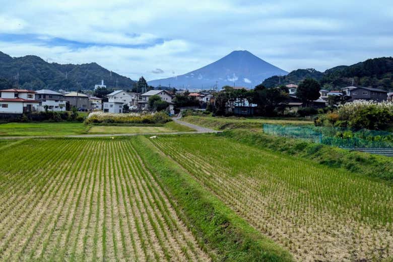 Monte Fuji se ergue majestoso