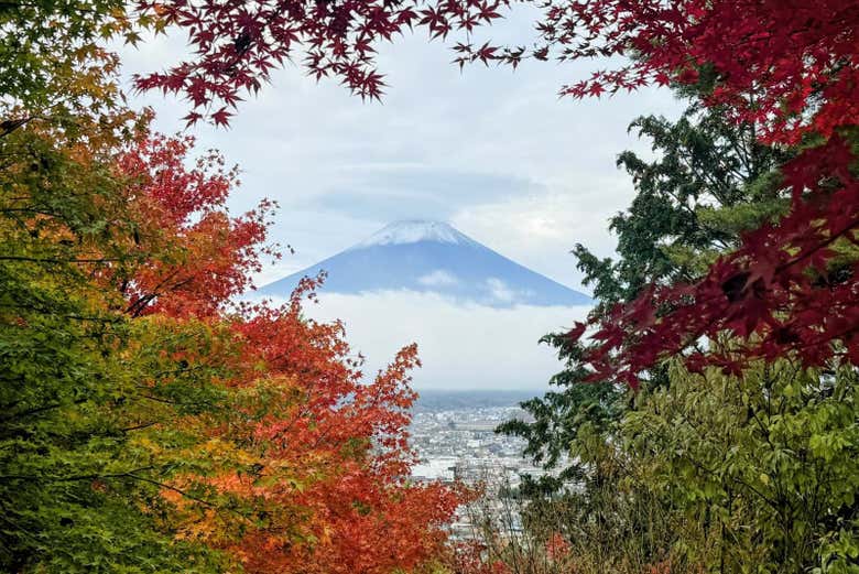 Lago Kawagushi e Monte Fuji