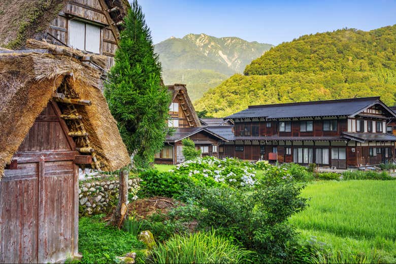 Shirakawago