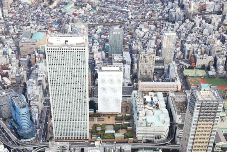 Admire the city's buildings from this viewpoint