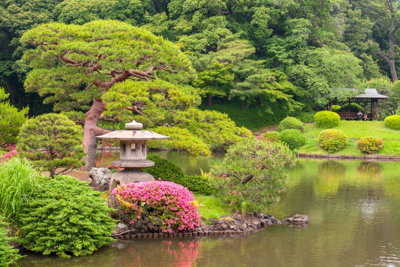 Jardín Kiyosumi