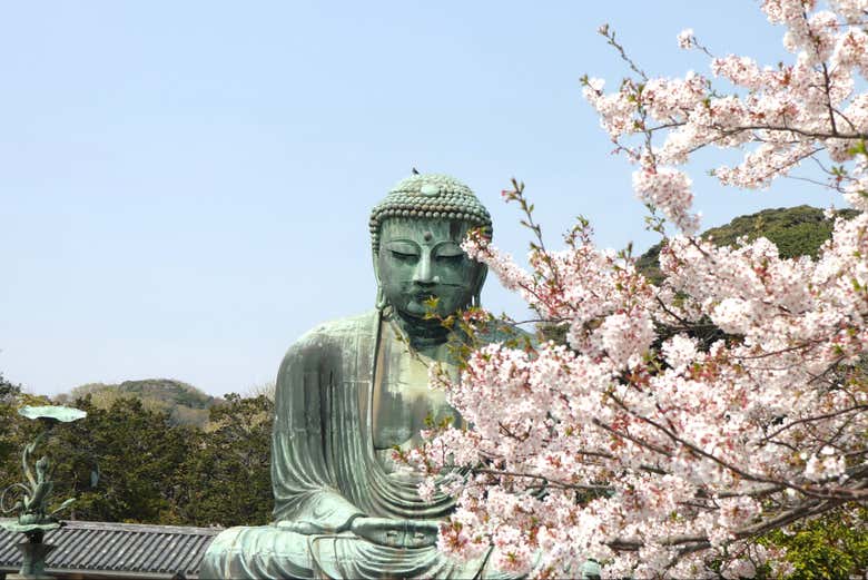 Grande Buddha (Daibutsu) di Kōtoku-in
