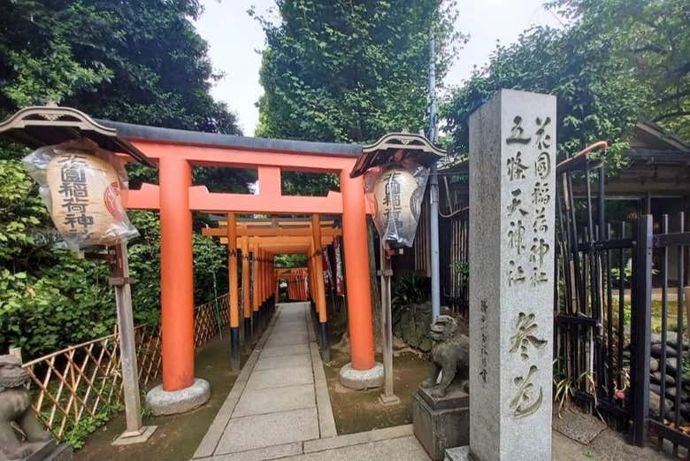 Discover one of Ueno's best-kept secrets