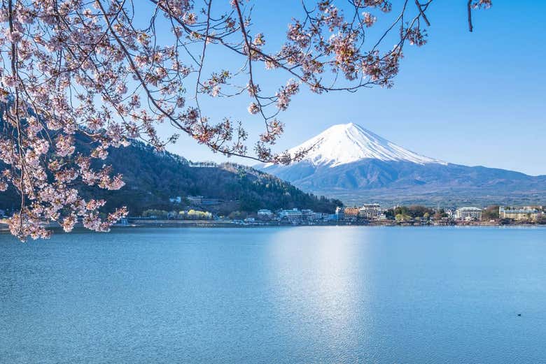 Il Monte Fuji dal lago Kawaguchi