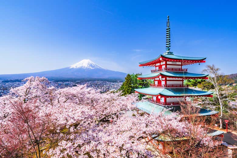 Cores do monte Fuji