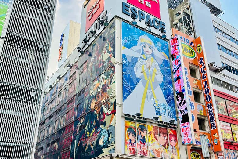 Explore Akihabara's best shops