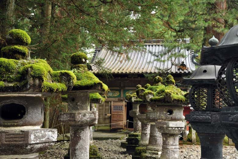 Nikko y su increíble vegetación