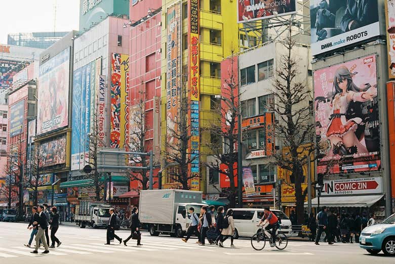 Dive into Tokyo's otaku culture