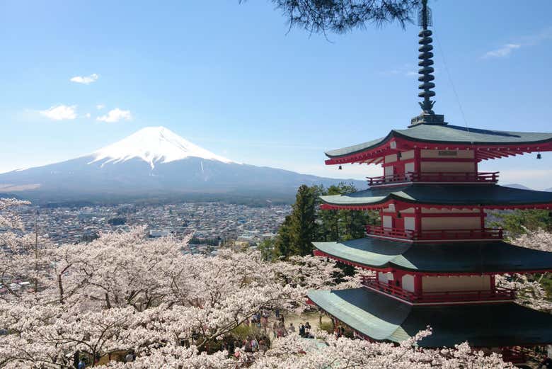 Pagoda Chureito y monte Fuji de fondo