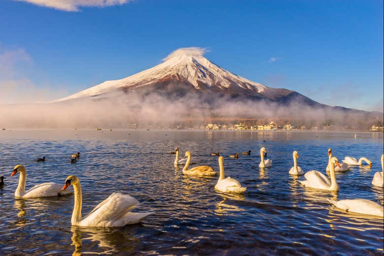 Paisajes naturales del monte Fuji