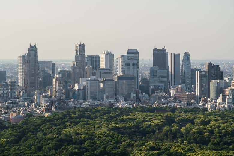 Vue panoramique du parc Yoyogi