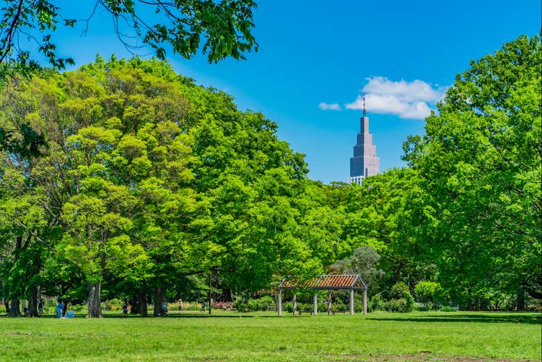 Parc Yoyogi