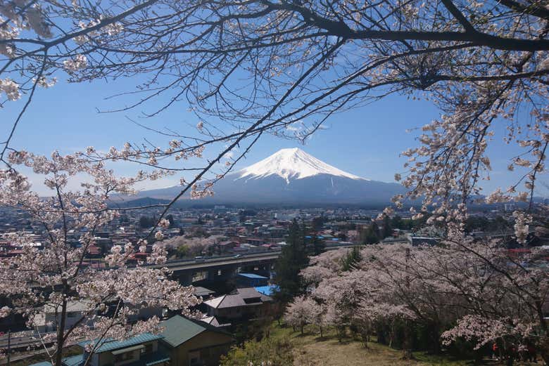 Otro punto desde donde se contempla el monte Fuji