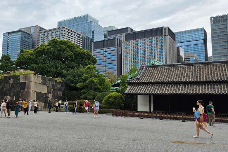 Recorreremos los mejores rincones de los jardines orientales
