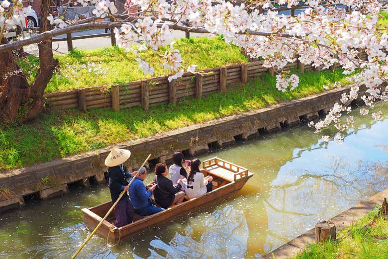 Contemplando el río Shingashi
