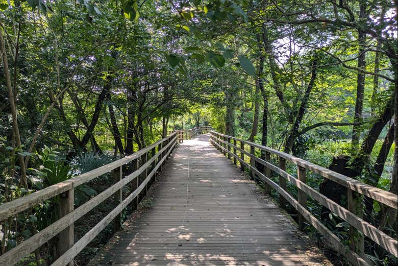 Recorriendo el parque Shakujii, en el corazón de Tokio