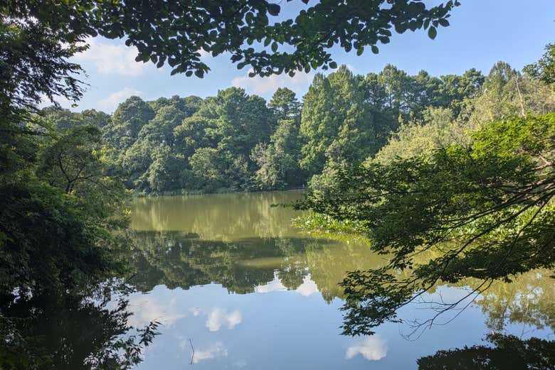 Reflejos en el lago Shakujii