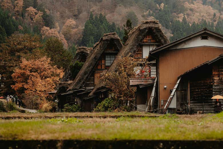 Casas típicas de Shirakawago