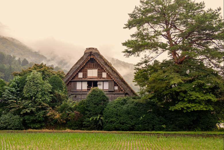 Paisajes con encanto en Shirakawago