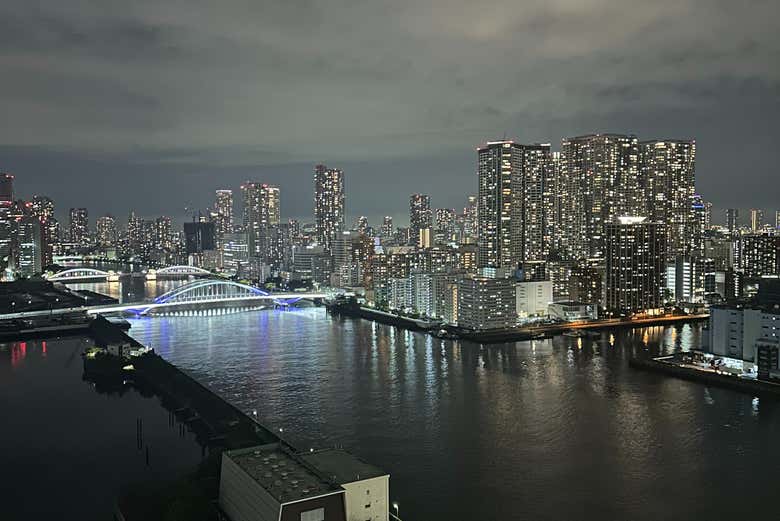 Skyline nocturno de Tokio