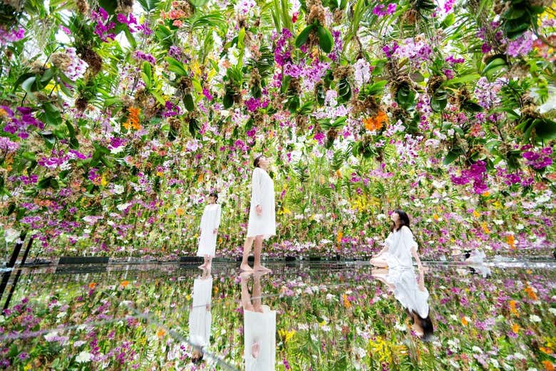 Una sala piena di fiori al TeamLab Planets Tokyo