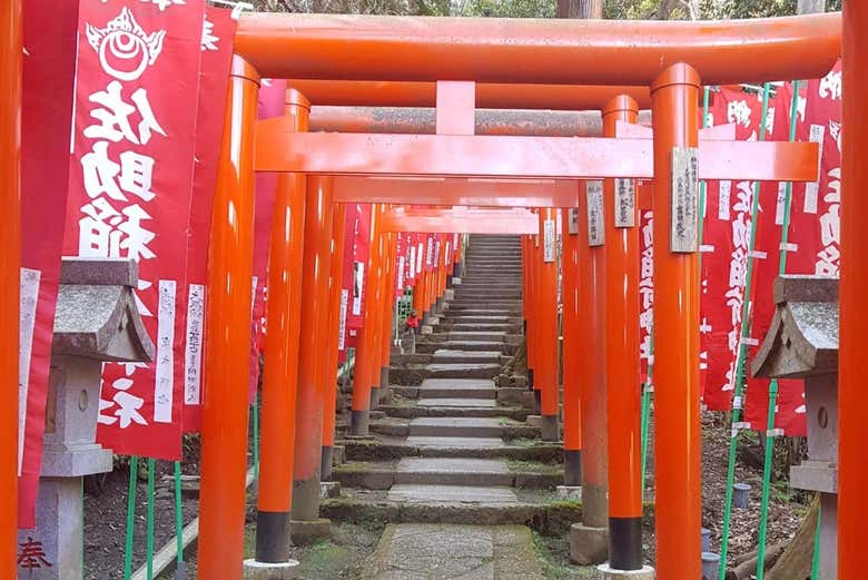 Immergez-vous au coeur des traditions japonaises