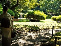 Meiji Sanctuary, garden