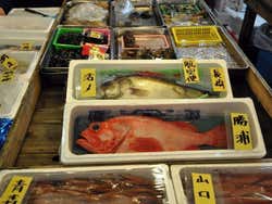 Marché de poissons de Tokyo