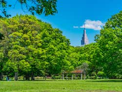 Yoyogi Park