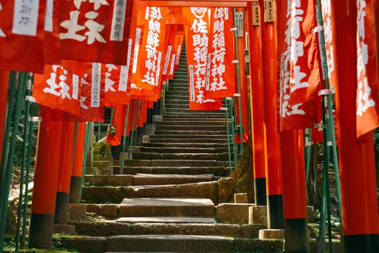 Walk through the sacred red banners of Sasuke Inari